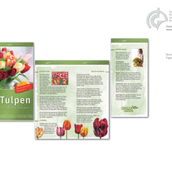 BLUME2000, Kompetenzflyer mit Kundeninfos zum Produkt