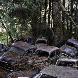 autofriedhof-rz-01