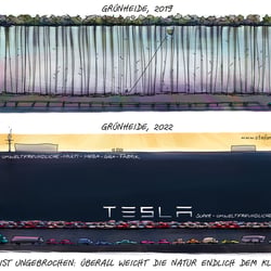 20210518 Tesla Stefan Fichtel