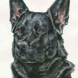 Aquarell