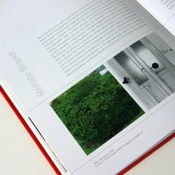 Buchgestaltung, Innenseiten