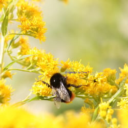 Nature 2014 – Foto Übung
