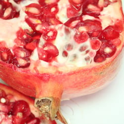 Granatapfel November 2012