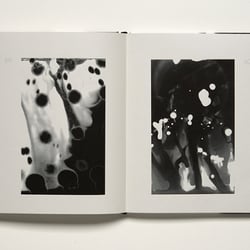 DEMENS BOOK 7