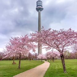 Wien, Donauturm