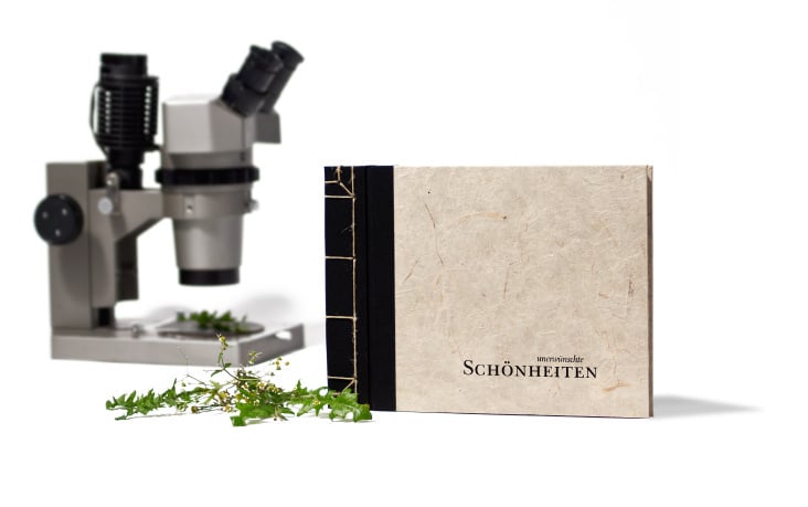 Unerwünschte Schönheiten