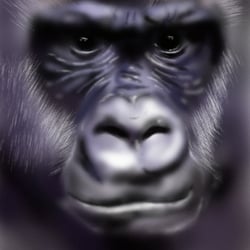 Gorilla – Mit Photoshop „gemalt“