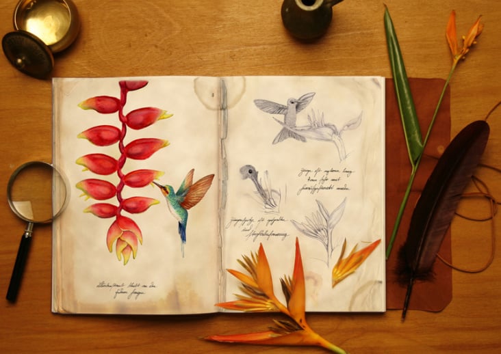 Forscherschreibtisch, Helikonie und Kolibri, 2009, Tropical Islands Management GmbH