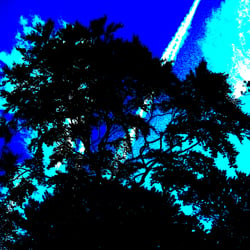Nature 4 / Natur 4