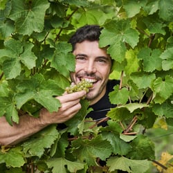 Weingut Schier