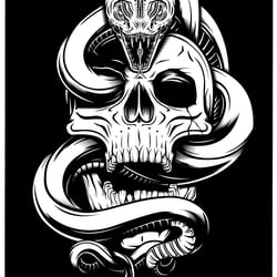 Skull & Snake – Adobe Illustrator