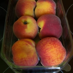Früchte 01