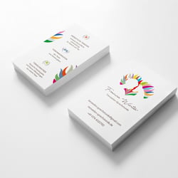 Logo + Icons + Visitenkarte
