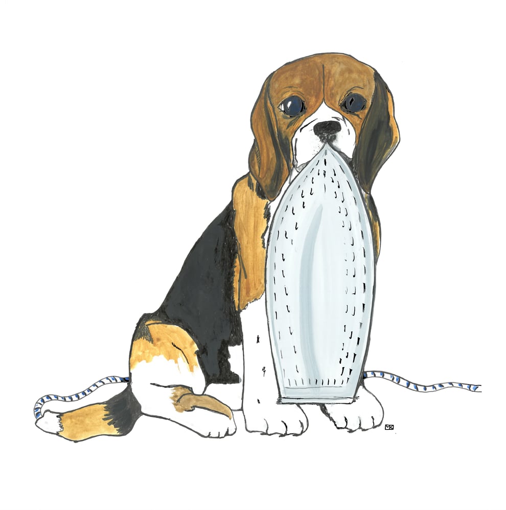 Beageleisen