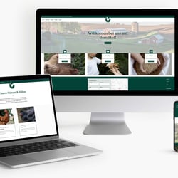 Websites (CMS – Wix)