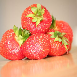 Food Fotografie 2012