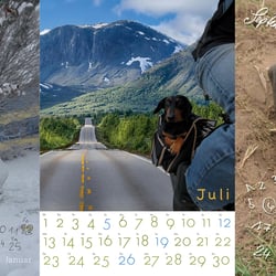 Jahreskalender Dackelfotografie 2