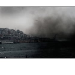 www.martinrohrmann.com