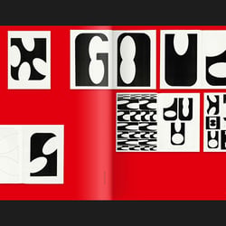 Support Independent Type II