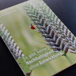 Menzel Metallchemie