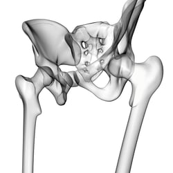 Medizinische Illustration, 3D-Illustration, Hüfte