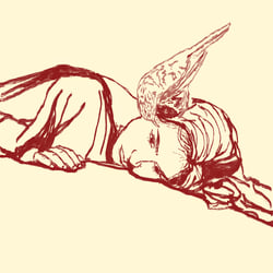 vogel