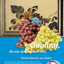Entwurf Anzeigenlayout