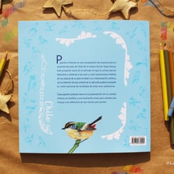 Cover and content of the self-published book“Pinta con Karina: pajaritos chilenos”, 2019.