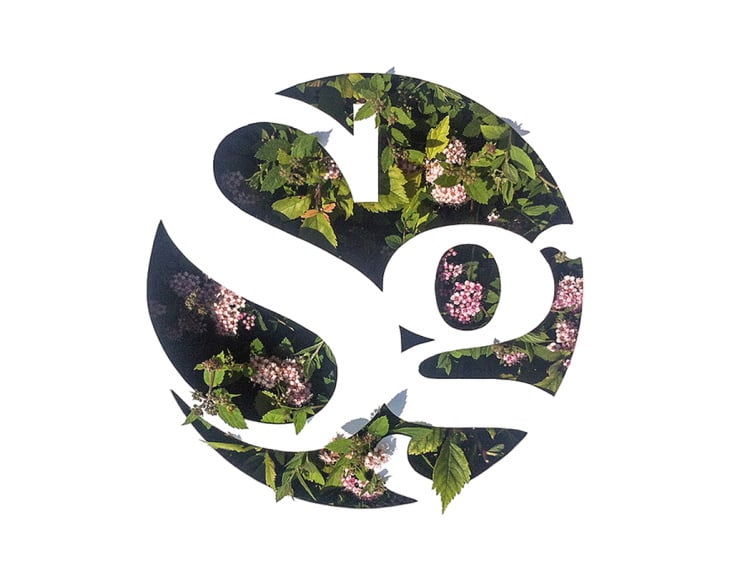 SpragueGibbons Design