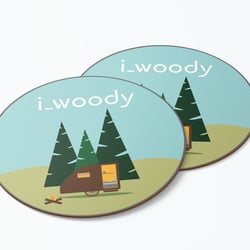 i woody 2coaster 1