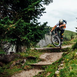 Freeride