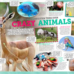 50 51 0318 Funny Animals ik