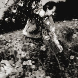 Henner Prefi, Fotograf