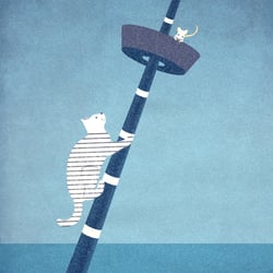 Cat, Ahoy!