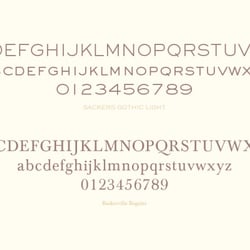 Thomas Rath Trousers Typografie
