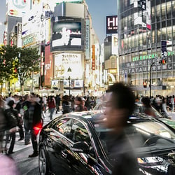 Nils Hendrik Mueller: Transportation / Tokyo 2008