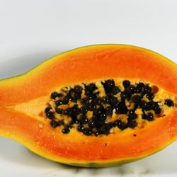 Papaja 4
