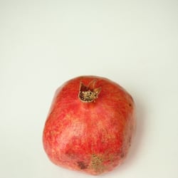 Granatapfel November 2012