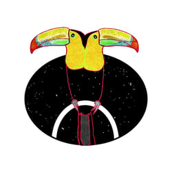 Tucan