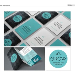 GROW Werbung für Gründer