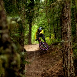 Rideable Project/Zillertal/Austria
