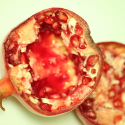 Granatapfel November 2012