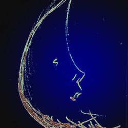 bluemoon