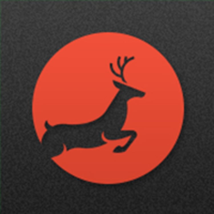 Der Onlinehirsch