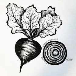 VerenaFaeth BeetRoot Ink