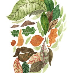 Mr Autumn