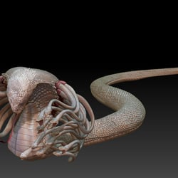 Hydra Design