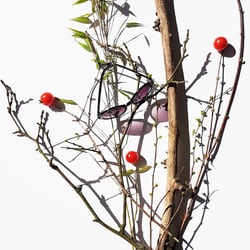 Ein Blumenstrauß