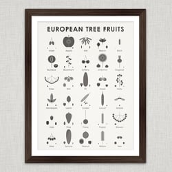European Tree Fruits