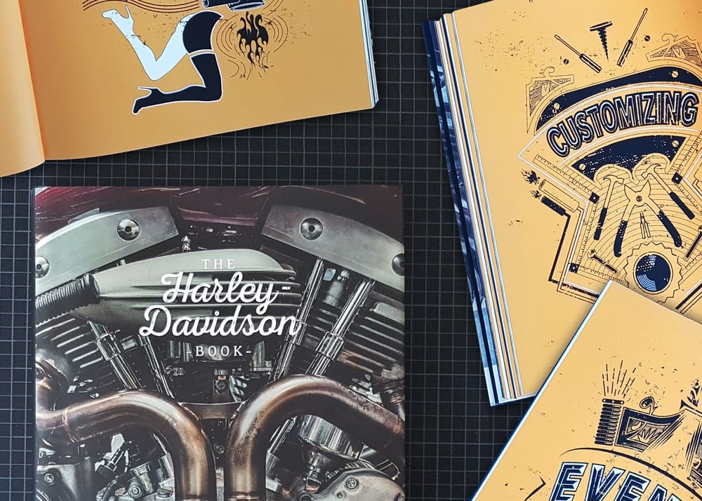 Editorial Illustrations / concept and illustration of the book chapters